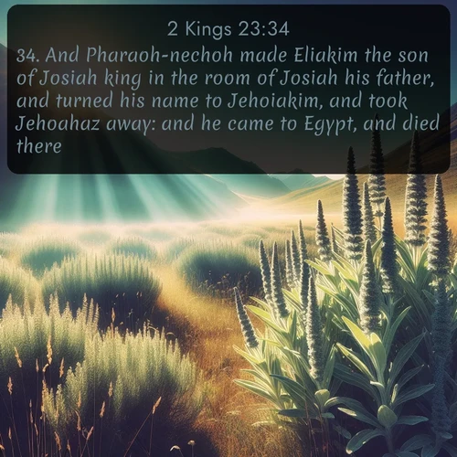 citation biblique : 34. And Pharaoh-nechoh made Eliakim the son of Josiah king in the room of Josiah his father, and turned his name to Jehoiakim, and took Jehoahaz away: and he came to Egypt, and died there.
 sur fond image nature