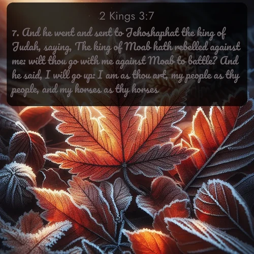 citation biblique : 7. And he went and sent to Jehoshaphat the king of Judah, saying, The king of Moab hath rebelled against me: wilt thou go with me against Moab to battle? And he said, I will go up: I am as thou art, my people as thy people, and my horses as thy horses.
 sur fond image nature