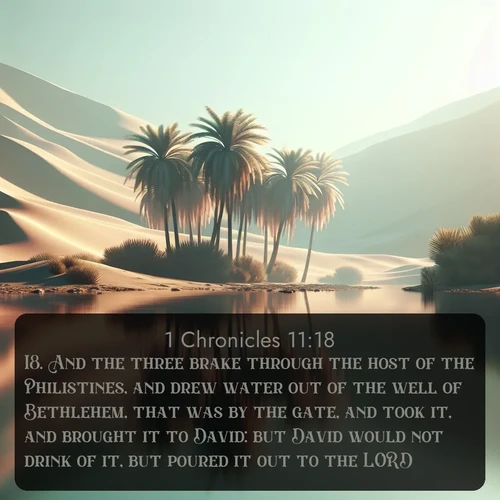 citation biblique : 18. And the three brake through the host of the Philistines, and drew water out of the well of Bethlehem, that was by the gate, and took it, and brought it to David: but David would not drink of it, but poured it out to the LORD,
 sur fond image nature