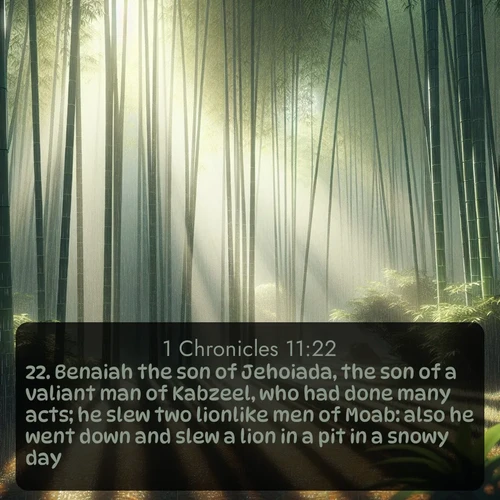 citation biblique : 22. Benaiah the son of Jehoiada, the son of a valiant man of Kabzeel, who had done many acts; he slew two lionlike men of Moab: also he went down and slew a lion in a pit in a snowy day.
 sur fond image nature