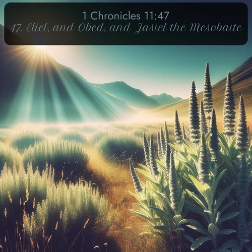 citation biblique : 47. Eliel, and Obed, and Jasiel the Mesobaite.
 sur fond image nature