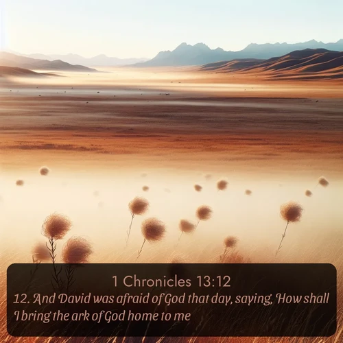 citation biblique : 12. And David was afraid of God that day, saying, How shall I bring the ark of God home to me?
 sur fond image nature