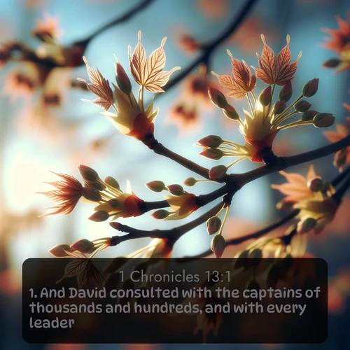 citation biblique : 1. And David consulted with the captains of thousands and hundreds, and with every leader.
 sur fond image nature