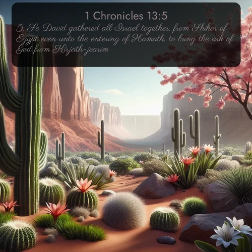 citation biblique : 5. So David gathered all Israel together, from Shihor of Egypt even unto the entering of Hamath, to bring the ark of God from Kirjath-jearim.
 sur fond image nature