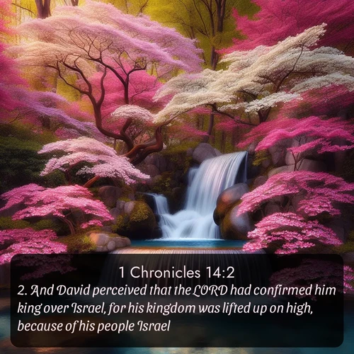 citation biblique : 2. And David perceived that the LORD had confirmed him king over Israel, for his kingdom was lifted up on high, because of his people Israel.
 sur fond image nature