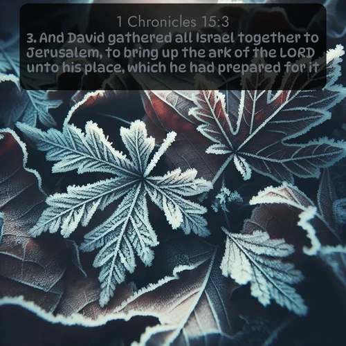 KJV 1 Chronicles  ; image nature: image with the bible verse :And David gathered all Israel together to Jerusalem, to bring up the ark of the LORD unto his place, which he had prepared for it. ; Explore a stunning collection of Bible verse images featuring picturesque scenery like sun-drenched meadows, tranquil lakes, and majestic forests. All images are free to download and share. Verses include KJV 1 Chronicles 15:3. Current verse is overlayed with the thematic nature scene : Winter frost creates delicate patterns on fallen leaves. ; 15:3