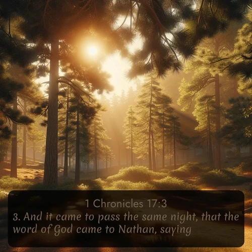 citation biblique : 3. And it came to pass the same night, that the word of God came to Nathan, saying,
 sur fond image nature
