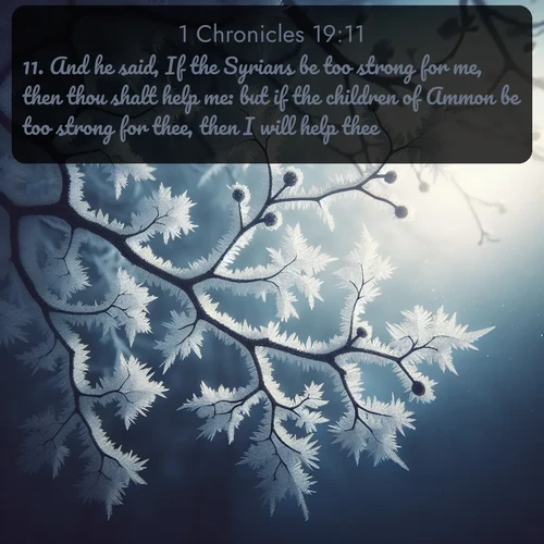 citation biblique : 11. And he said, If the Syrians be too strong for me, then thou shalt help me: but if the children of Ammon be too strong for thee, then I will help thee.
 sur fond image nature