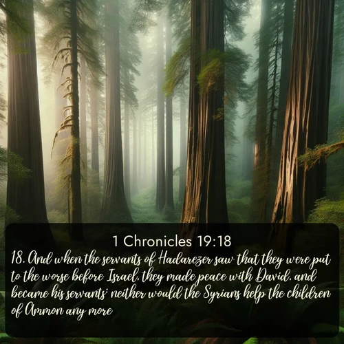 citation biblique : 18. And when the servants of Hadarezer saw that they were put to the worse before Israel, they made peace with David, and became his servants: neither would the Syrians help the children of Ammon any more.
 sur fond image nature
