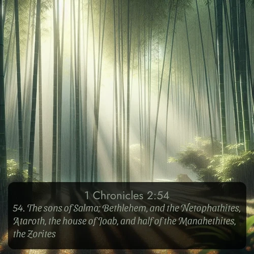 citation biblique : 54. The sons of Salma; Bethlehem, and the Netophathites, Ataroth, the house of Joab, and half of the Manahethites, the Zorites.
 sur fond image nature