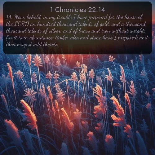 citation biblique : 14. Now, behold, in my trouble I have prepared for the house of the LORD an hundred thousand talents of gold, and a thousand thousand talents of silver; and of brass and iron without weight; for it is in abundance: timber also and stone have I prepared; and thou mayest add thereto.
 sur fond image nature