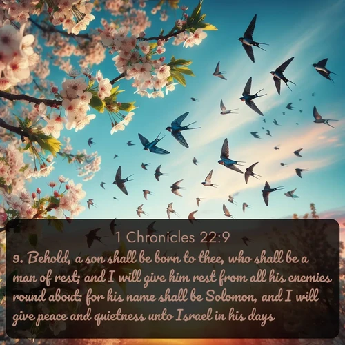 citation biblique : 9. Behold, a son shall be born to thee, who shall be a man of rest; and I will give him rest from all his enemies round about: for his name shall be Solomon, and I will give peace and quietness unto Israel in his days.
 sur fond image nature