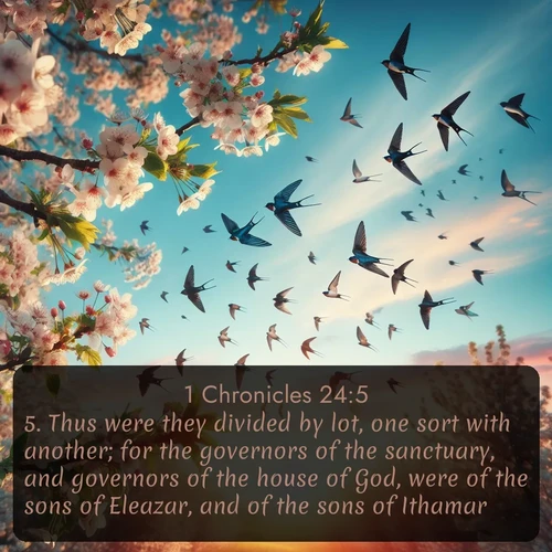 citation biblique : 5. Thus were they divided by lot, one sort with another; for the governors of the sanctuary, and governors of the house of God, were of the sons of Eleazar, and of the sons of Ithamar.
 sur fond image nature