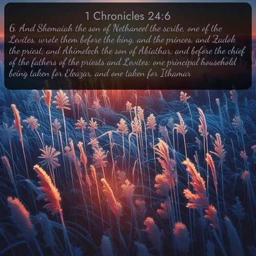 citation biblique : 6. And Shemaiah the son of Nethaneel the scribe, one of the Levites, wrote them before the king, and the princes, and Zadok the priest, and Ahimelech the son of Abiathar, and before the chief of the fathers of the priests and Levites: one principal household being taken for Eleazar, and one taken for Ithamar.
 sur fond image nature