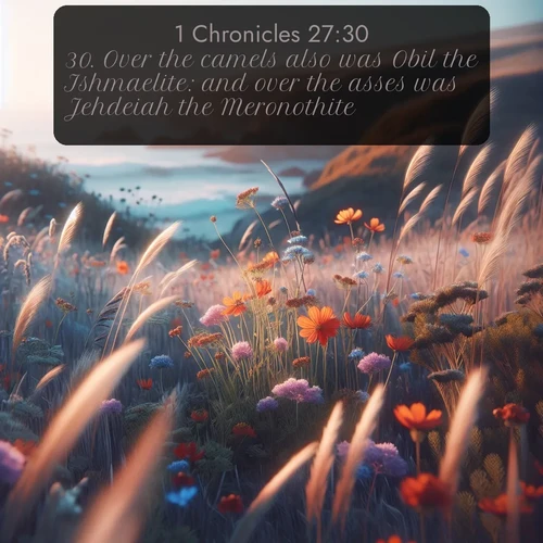 citation biblique : 30. Over the camels also was Obil the Ishmaelite: and over the asses was Jehdeiah the Meronothite:
 sur fond image nature