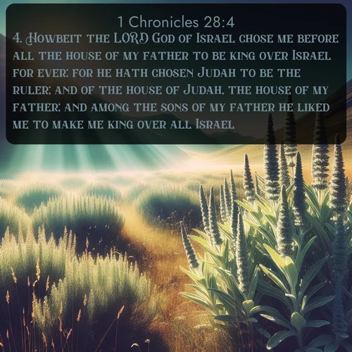 citation biblique : 4. Howbeit the LORD God of Israel chose me before all the house of my father to be king over Israel for ever: for he hath chosen Judah to be the ruler; and of the house of Judah, the house of my father; and among the sons of my father he liked me to make me king over all Israel:
 sur fond image nature