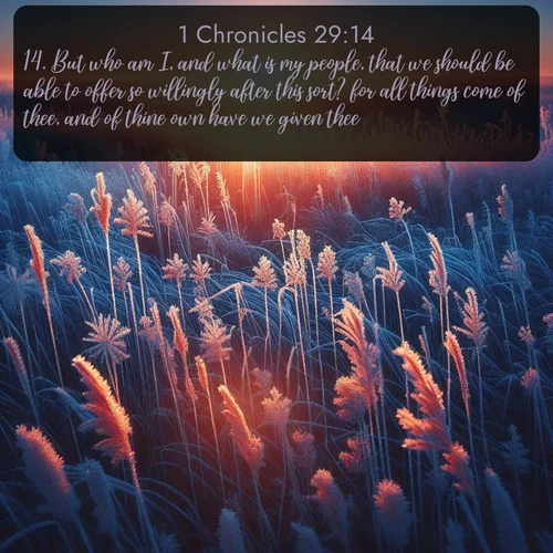 citation biblique : 14. But who am I, and what is my people, that we should be able to offer so willingly after this sort? for all things come of thee, and of thine own have we given thee.
 sur fond image nature