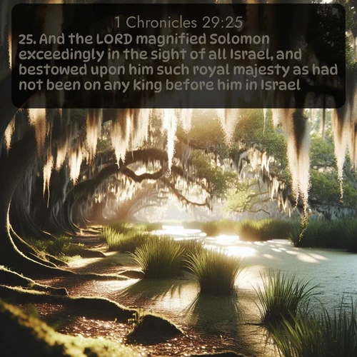 citation biblique : 25. And the LORD magnified Solomon exceedingly in the sight of all Israel, and bestowed upon him such royal majesty as had not been on any king before him in Israel.
 sur fond image nature