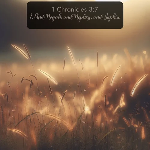KJV 1 Chronicles  ; image nature: image with the bible verse :And Nogah, and Nepheg, and Japhia, ; Explore beautiful Bible verse images paired with serene natural settings, such as calm seas, snowy paths, and verdant hills. Each image is free to download for your spiritual inspiration. Share KJV 1 Chronicles 3:7. Current verse is overlayed with the thematic nature scene : Summer heat brings out cricket songs in meadow grass. ; 3:7