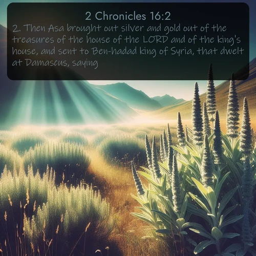 citation biblique : 2. Then Asa brought out silver and gold out of the treasures of the house of the LORD and of the king&#039;s house, and sent to Ben-hadad king of Syria, that dwelt at Damascus, saying,
 sur fond image nature