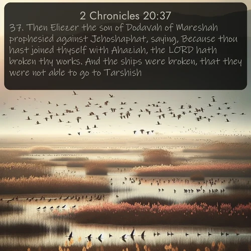 citation biblique : 37. Then Eliezer the son of Dodavah of Mareshah prophesied against Jehoshaphat, saying, Because thou hast joined thyself with Ahaziah, the LORD hath broken thy works. And the ships were broken, that they were not able to go to Tarshish.
 sur fond image nature