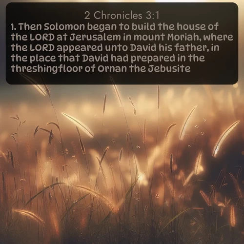 citation biblique : 1. Then Solomon began to build the house of the LORD at Jerusalem in mount Moriah, where the LORD appeared unto David his father, in the place that David had prepared in the threshingfloor of Ornan the Jebusite.
 sur fond image nature