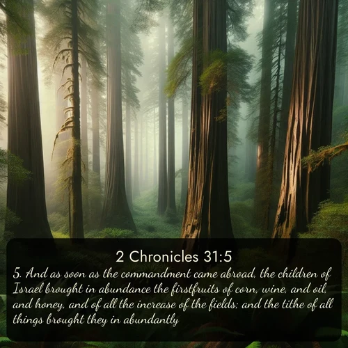 KJV 2 Chronicles 31:5 overlaying nature image scene: Coastal redwoods disappear into the fog high above a fern grove.;5. And as soon as the commandment came abroad, the children of Israel brought in abundance the firstfruits of corn, wine, and oil, and honey, and of all the increase of the fields; and the tithe of all things brought they in abundantly.