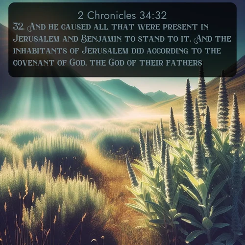 citation biblique : 32. And he caused all that were present in Jerusalem and Benjamin to stand to it. And the inhabitants of Jerusalem did according to the covenant of God, the God of their fathers.
 sur fond image nature