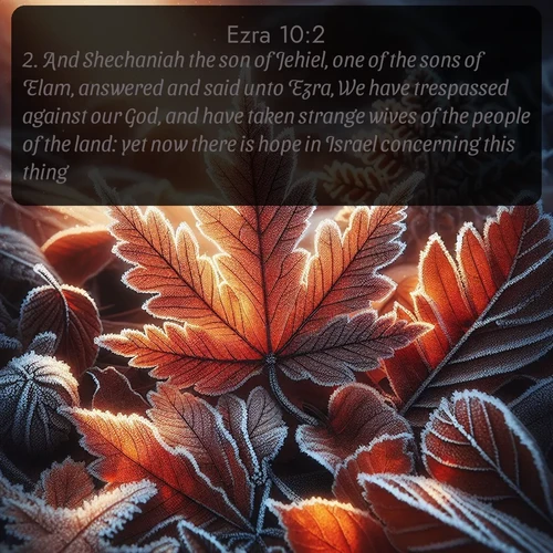 citation biblique : 2. And Shechaniah the son of Jehiel, one of the sons of Elam, answered and said unto Ezra, We have trespassed against our God, and have taken strange wives of the people of the land: yet now there is hope in Israel concerning this thing.
 sur fond image nature