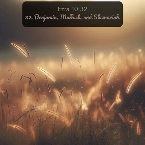 KJV Ezra  ; image nature: image with the bible verse :Benjamin, Malluch, and Shemariah. ; Explore Bible verses combined with serene beach photos, desert dunes, and infinite skies, highlighting God&#039;s majesty in every landscape. Download and share inspiring verses like KJV Ezra 10:32. Current verse is overlayed with the thematic nature scene : Summer heat brings out cricket songs in meadow grass. ; 10:32