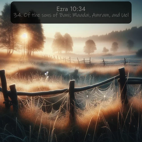 KJV Ezra  ; image nature: image with the bible verse :Of the sons of Bani; Maadai, Amram, and Uel, ; Explore free Bible verse images with stunning nature themes, including sunlit paths, forest clearings, and endless horizons. Perfect for desktop backgrounds or phone wallpapers. Verses include KJV Ezra 10:34. Current verse is overlayed with the thematic nature scene : Morning frost coats spider webs stretched between fence posts in a country meadow. ; 10:34