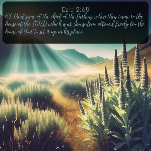citation biblique : 68. And some of the chief of the fathers, when they came to the house of the LORD which is at Jerusalem, offered freely for the house of God to set it up in his place:
 sur fond image nature