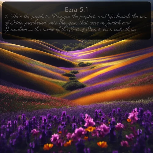 citation biblique : 1. Then the prophets, Haggai the prophet, and Zechariah the son of Iddo, prophesied unto the Jews that were in Judah and Jerusalem in the name of the God of Israel, even unto them.
 sur fond image nature