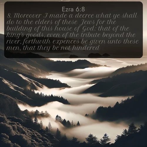 citation biblique : 8. Moreover I made a decree what ye shall do to the elders of these Jews for the building of this house of God: that of the king&#039;s goods, even of the tribute beyond the river, forthwith expences be given unto these men, that they be not hindered.
 sur fond image nature