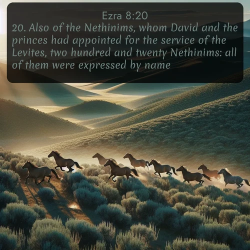 citation biblique : 20. Also of the Nethinims, whom David and the princes had appointed for the service of the Levites, two hundred and twenty Nethinims: all of them were expressed by name.
 sur fond image nature