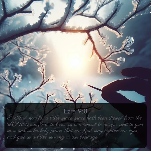 KJV Ezra 9:8 overlaying nature image scene: Winter sunrise glows through ice-coated branches.;8. And now for a little space grace hath been shewed from the LORD our God, to leave us a remnant to escape, and to give us a nail in his holy place, that our God may lighten our eyes, and give us a little reviving in our bondage.