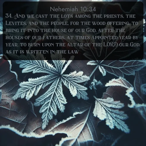 citation biblique : 34. And we cast the lots among the priests, the Levites, and the people, for the wood offering, to bring it into the house of our God, after the houses of our fathers, at times appointed year by year, to burn upon the altar of the LORD our God, as it is written in the law:
 sur fond image nature