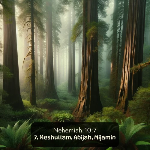 KJV Nehemiah 10:7 overlaying nature image scene: Coastal redwoods disappear into the fog high above a fern grove.;7. Meshullam, Abijah, Mijamin,