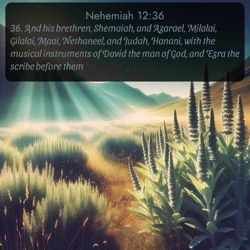 citation biblique : 36. And his brethren, Shemaiah, and Azarael, Milalai, Gilalai, Maai, Nethaneel, and Judah, Hanani, with the musical instruments of David the man of God, and Ezra the scribe before them.
 sur fond image nature