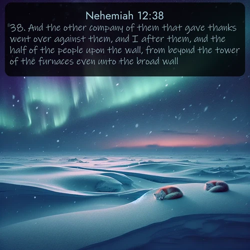 citation biblique : 38. And the other company of them that gave thanks went over against them, and I after them, and the half of the people upon the wall, from beyond the tower of the furnaces even unto the broad wall;
 sur fond image nature