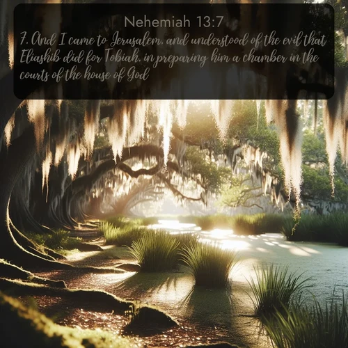 citation biblique : 7. And I came to Jerusalem, and understood of the evil that Eliashib did for Tobiah, in preparing him a chamber in the courts of the house of God.
 sur fond image nature
