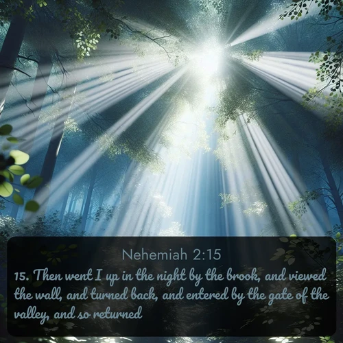 citation biblique : 15. Then went I up in the night by the brook, and viewed the wall, and turned back, and entered by the gate of the valley, and so returned.
 sur fond image nature