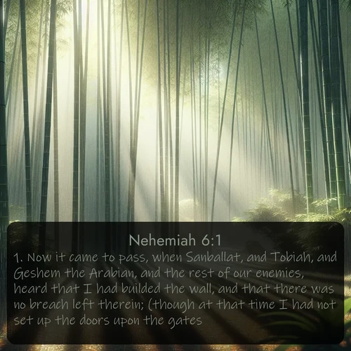 citation biblique : 1. Now it came to pass, when Sanballat, and Tobiah, and Geshem the Arabian, and the rest of our enemies, heard that I had builded the wall, and that there was no breach left therein; (though at that time I had not set up the doors upon the gates;)
 sur fond image nature