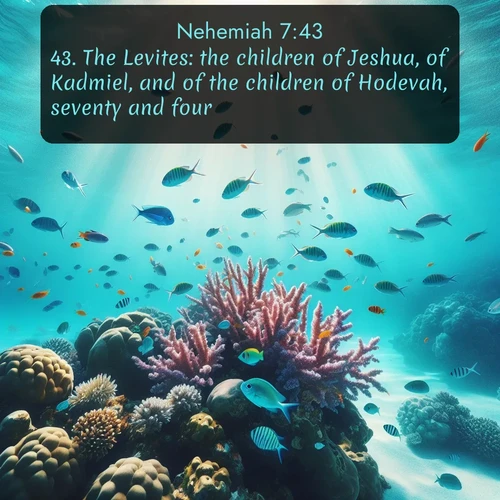 citation biblique : 43. The Levites: the children of Jeshua, of Kadmiel, and of the children of Hodevah, seventy and four.
 sur fond image nature