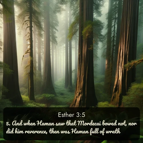 citation biblique : 5. And when Haman saw that Mordecai bowed not, nor did him reverence, then was Haman full of wrath.
 sur fond image nature