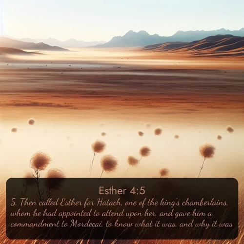 KJV Esther  ; image nature: image with the bible verse :Then called Esther for Hatach, one of the king&#039;s chamberlains, whom he had appointed to attend upon her, and gave him a commandment to Mordecai, to know what it was, and why it was. ; Dive into a gallery of Bible verses illustrated by tropical beach scenes, featuring sparkling waves, seashells, and radiant sunrises. These images evoke divine peace and joy. Download and share inspiring verses like KJV Esther 4:5. Current verse is overlayed with the thematic nature scene : Autumn wind sends tumbleweeds dancing across the prairie. ; 4:5