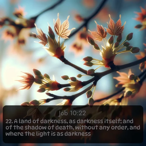 KJV Job  ; image nature: image with the bible verse :A land of darkness, as darkness itself; and of the shadow of death, without any order, and where the light is as darkness. ; Discover beautiful Bible verse images that combine inspiring scripture with captivating nature photos. Download high-quality images featuring lush valleys, peaceful streams, and endless horizons like KJV Job 10:22. Current verse is overlayed with the thematic nature scene : Spring buds burst open on maple branches against a blue sky. ; 10:22