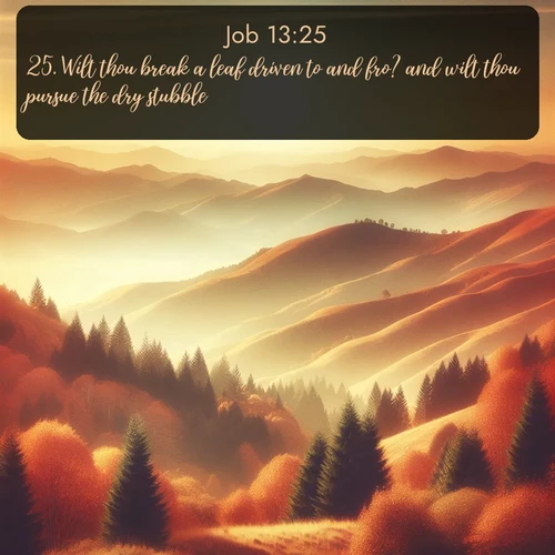 citation biblique : 25. Wilt thou break a leaf driven to and fro? and wilt thou pursue the dry stubble?
 sur fond image nature