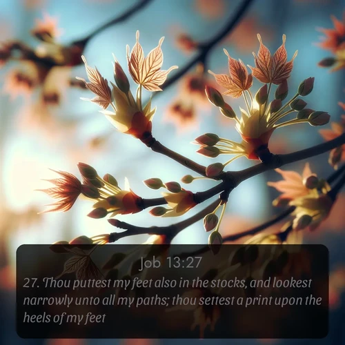 KJV Job 13:27 overlaying nature image scene: Spring buds burst open on maple branches against a blue sky.;27. Thou puttest my feet also in the stocks, and lookest narrowly unto all my paths; thou settest a print upon the heels of my feet.