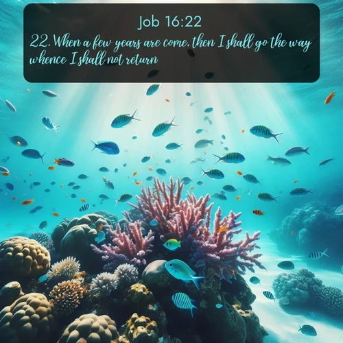 citation biblique : 22. When a few years are come, then I shall go the way whence I shall not return.
 sur fond image nature